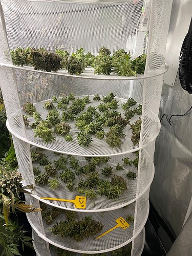 Growreport Bild 6