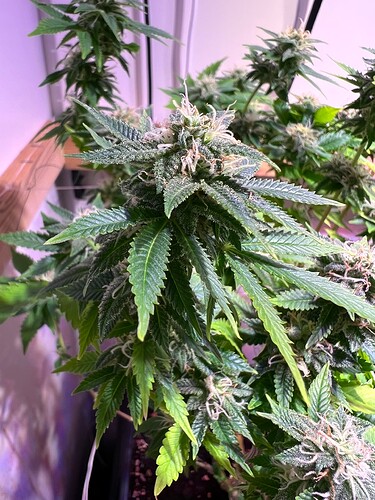Growreport Bild 8