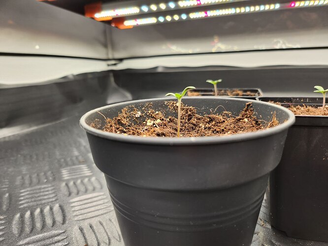 photo_2023-07-31_19-29-08