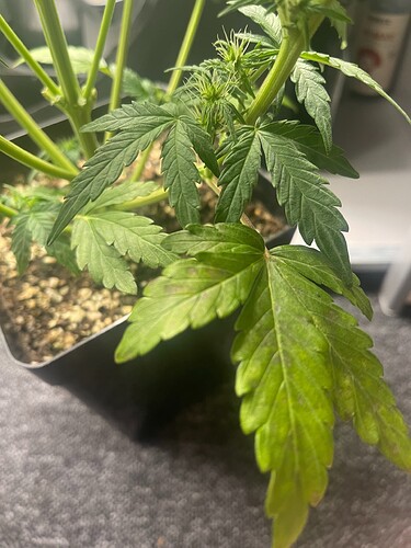 Growreport Bild 18