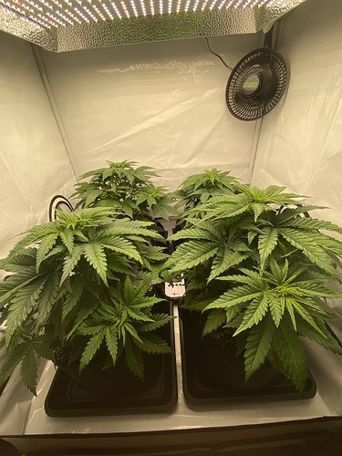 Growreport Bild 9