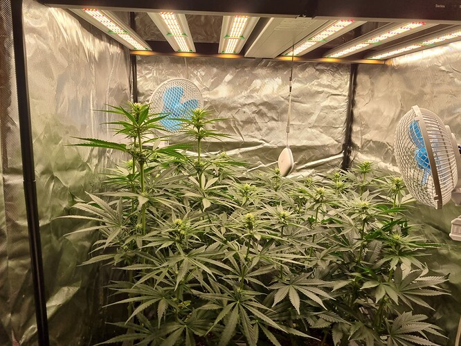 Growreport Bild 16
