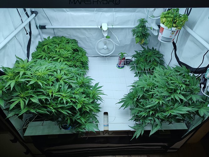 Growreport Bild 32