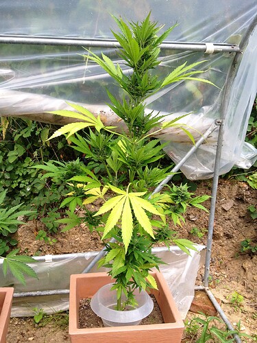 Growreport Bild 24