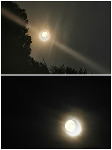 Collage_20220513_032211