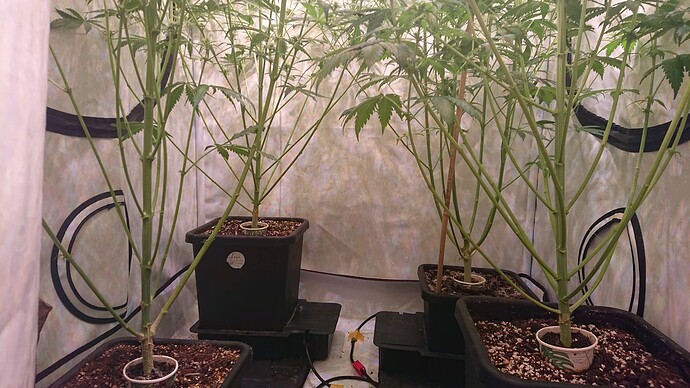 Growreport Bild 9