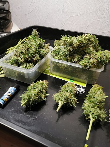 Growreport Bild 10