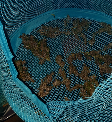 Growreport Bild 7