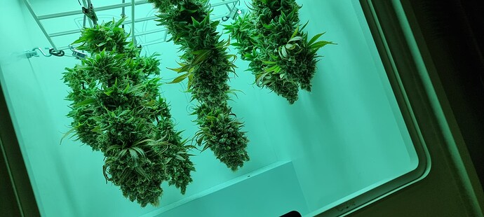 Growreport Bild 15