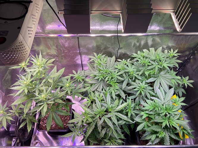 Growreport Bild 2