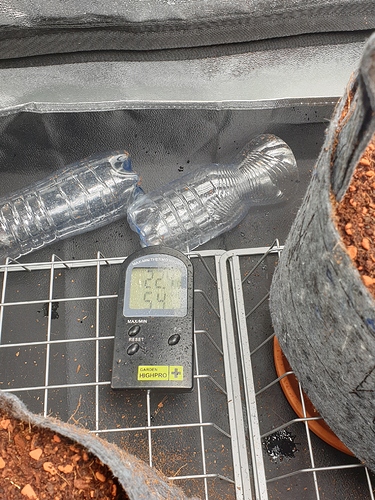 Growreport Bild 8