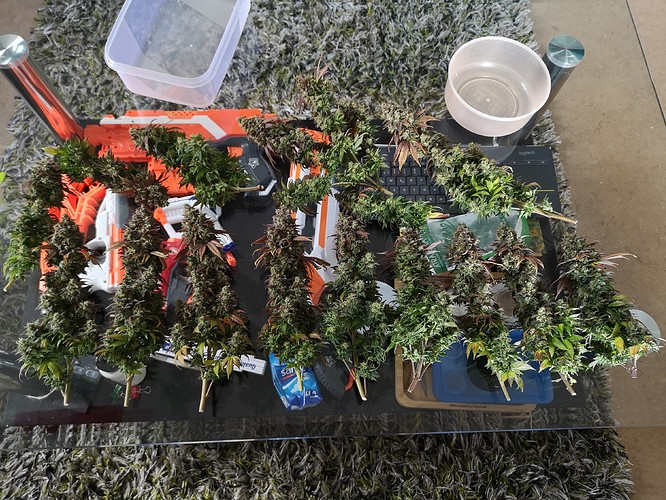 Growreport Bild 9