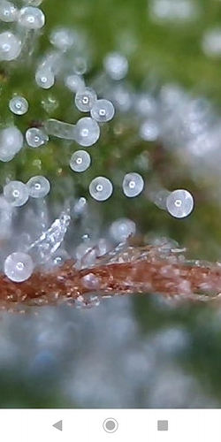 69389261_1210313145808224_3711377950252204032_n