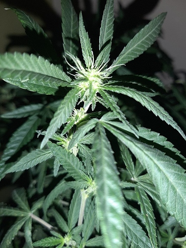 Growreport Bild 12