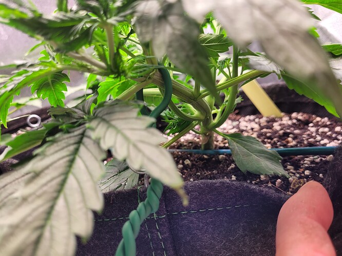 Growreport Bild 24