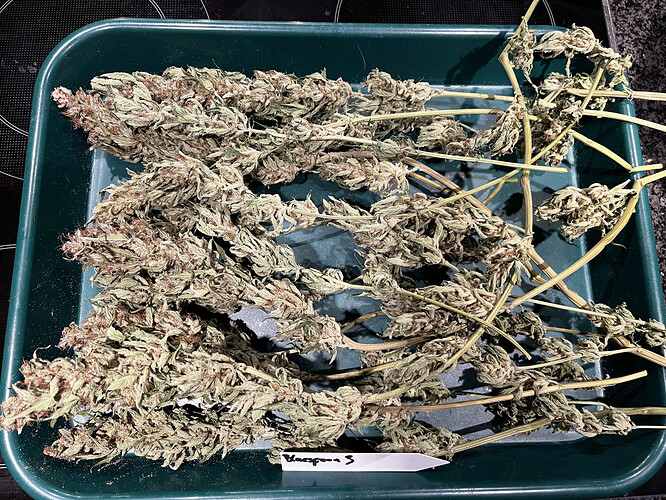 Growreport Bild 3