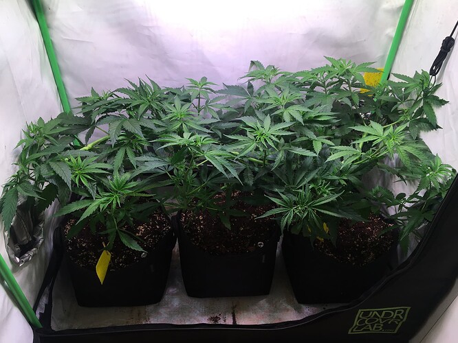 Growreport Bild 10