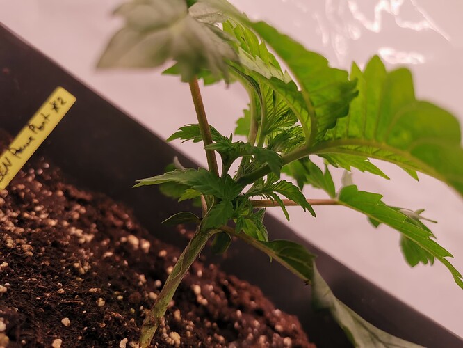 Growreport Bild 26