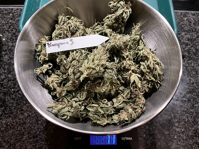 Growreport Bild 4