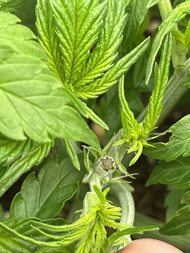 Growreport Bild 10