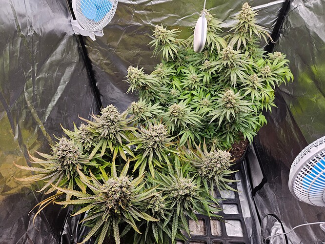 Growreport Bild 21