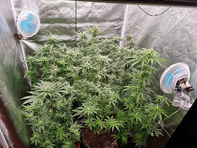 Growreport Bild 18