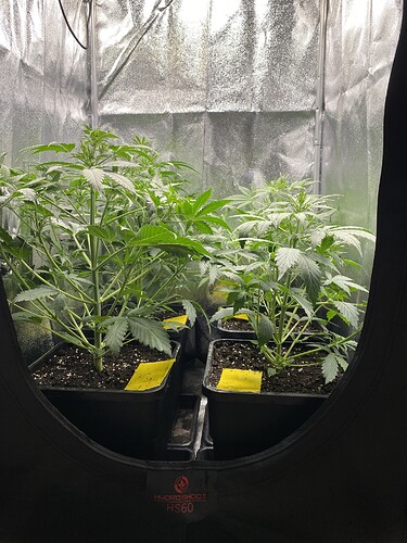 Growreport Bild 2