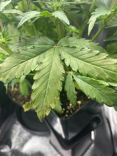 Growreport Bild 9