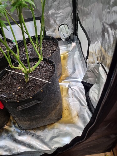 Growreport Bild 10