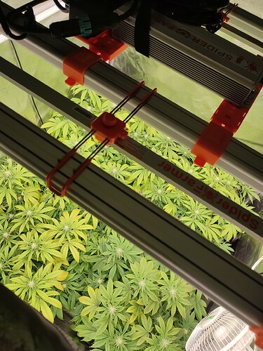 Growreport Bild 4