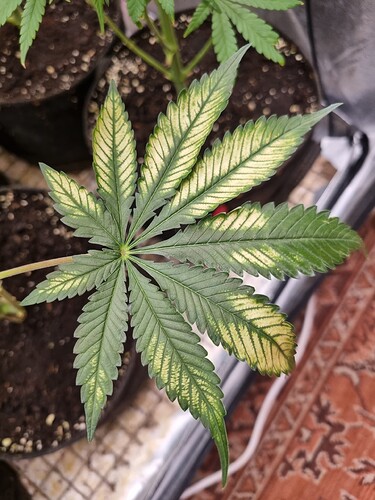 Growreport Bild 14