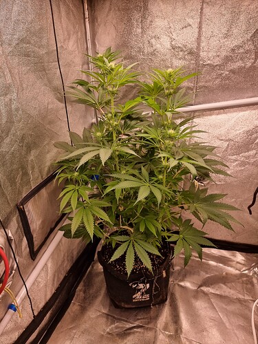 Growreport Bild 8
