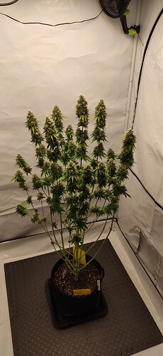 Growreport Bild 12