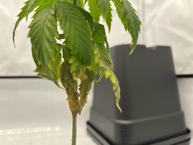 Growreport Bild 10