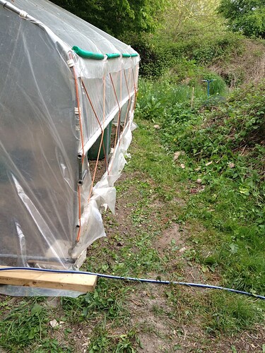 Growreport Bild 5