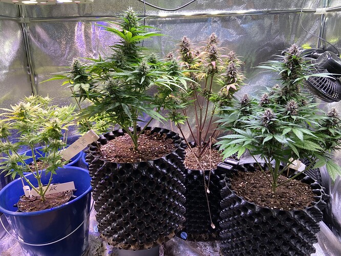 Growreport Bild 7