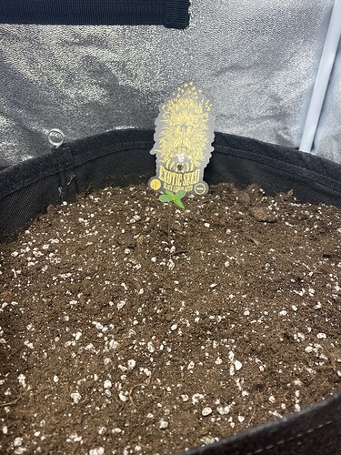 Growreport Bild 1