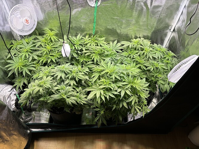 Growreport Bild 13