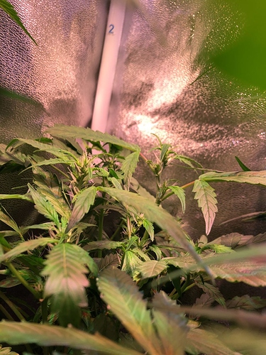 Growreport Bild 10