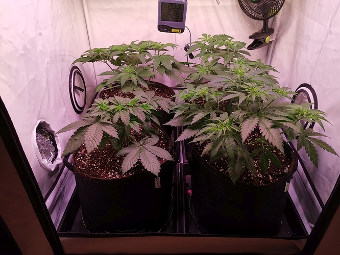 Growreport Bild 9