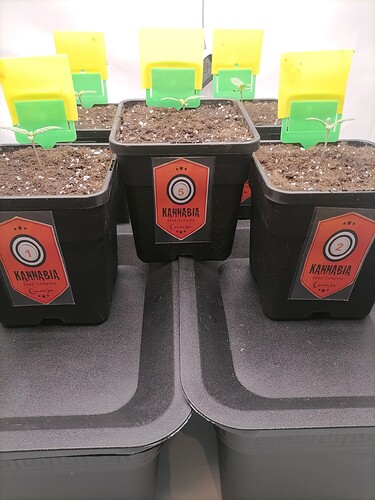 Growreport Bild 45
