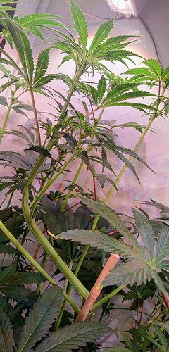 Growreport Bild 16