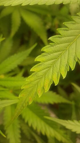 Growreport Bild 8
