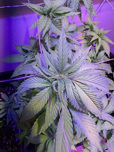 Growreport Bild 10