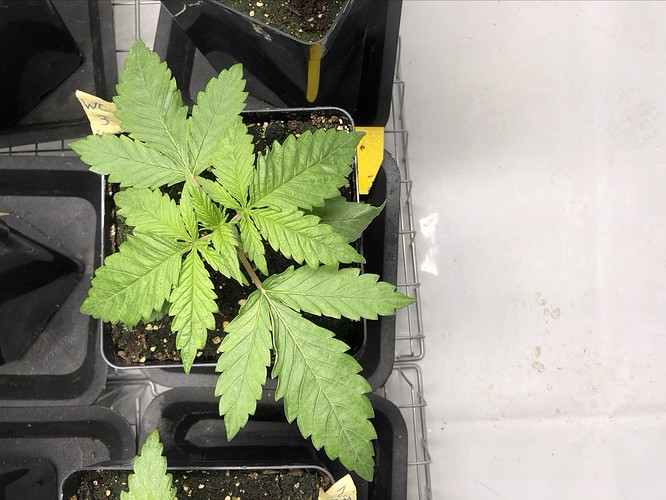 Growreport Bild 8