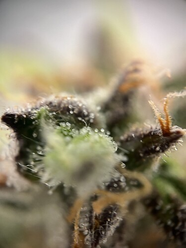 Growreport Bild 13