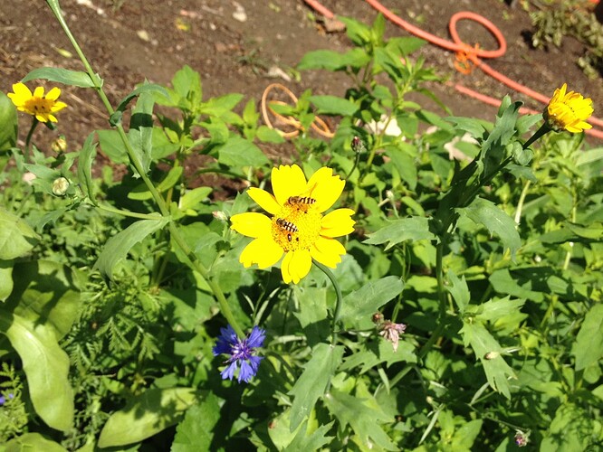 069_SturmwarnungPoly_08