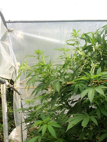Growreport Bild 7