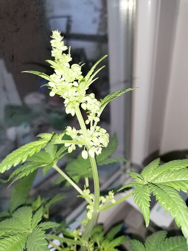 Growreport Bild 3