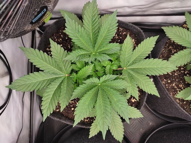 Growreport Bild 22